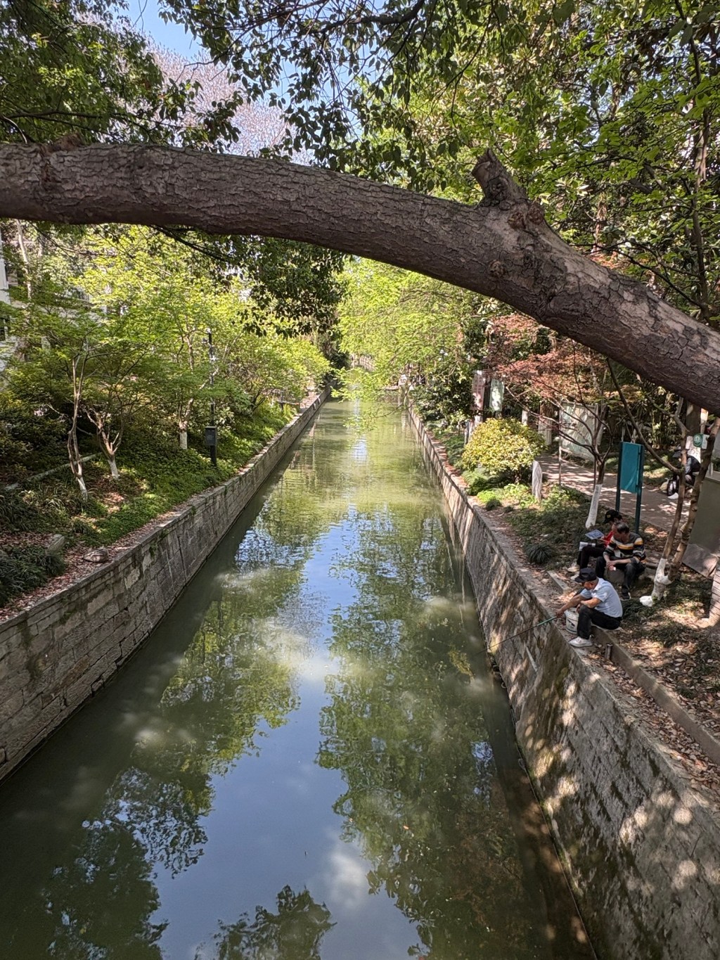 Courageous vs. Shameless