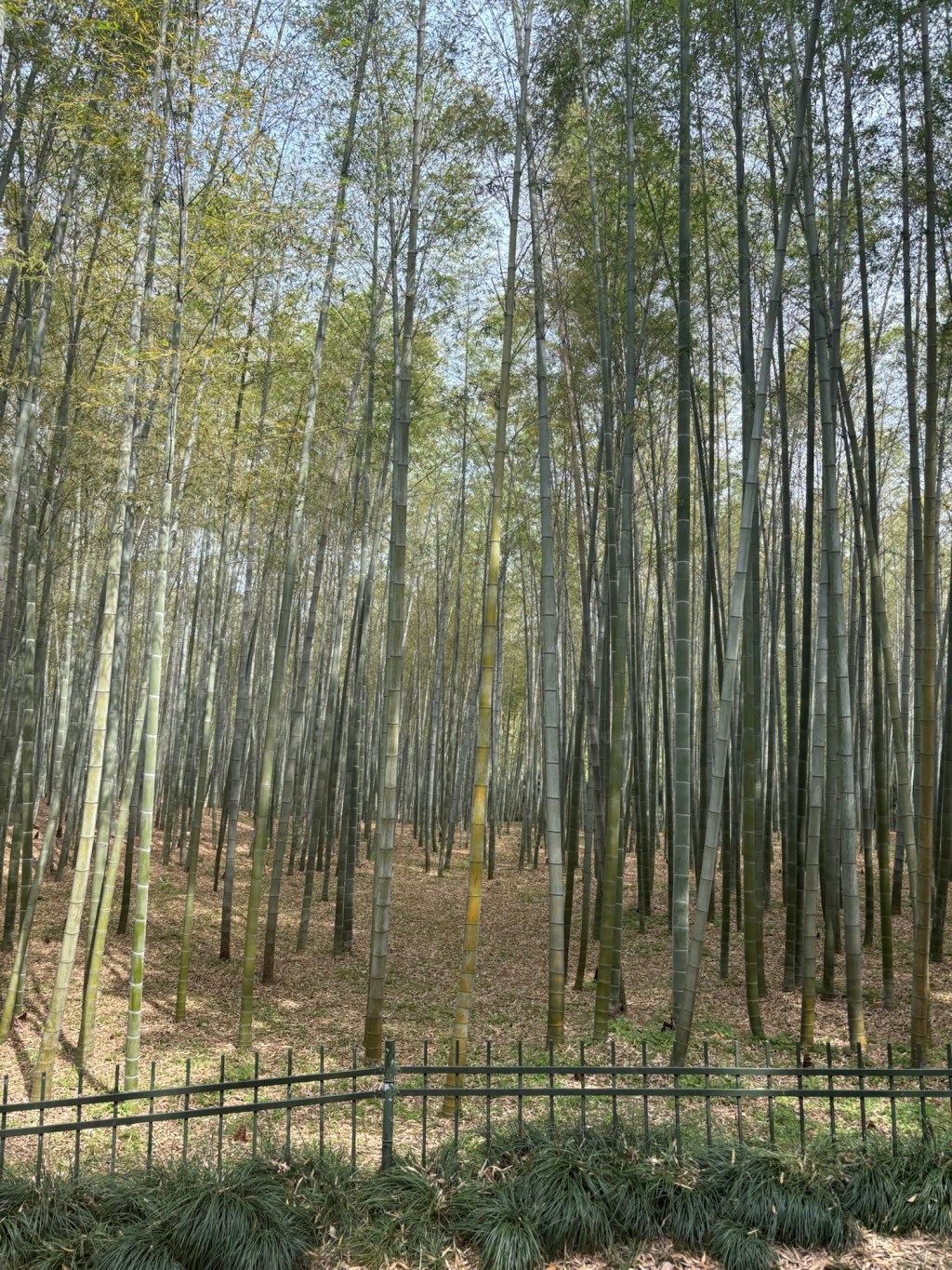 Living on the&nbsp;Edge